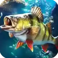 欢乐钓鱼大师官方最新版