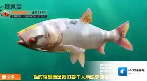 欢乐钓鱼大师钓鱼