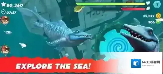 饥饿鲨进化国际服国际服