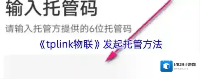 TP-LINK托管