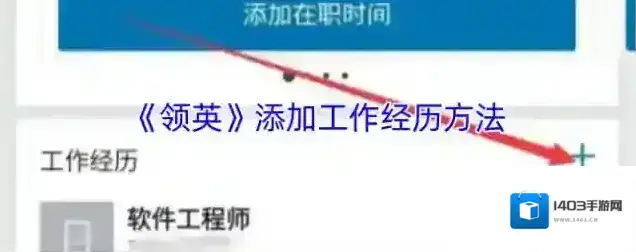 天天招聘工作经历