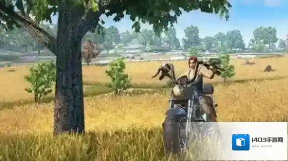 终结者2:审判日防护力