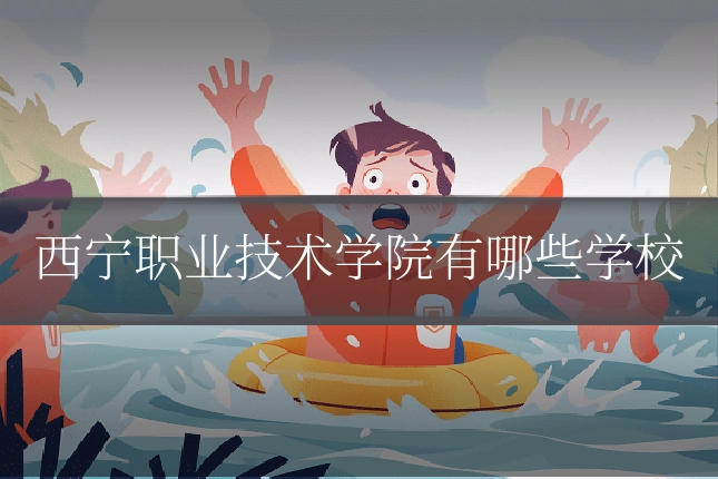 西宁职业技术学院有哪些学校