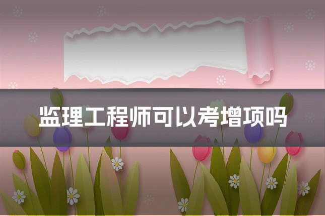 监理工程师可以考增项吗