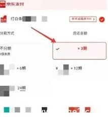 京东怎么进行分期付款