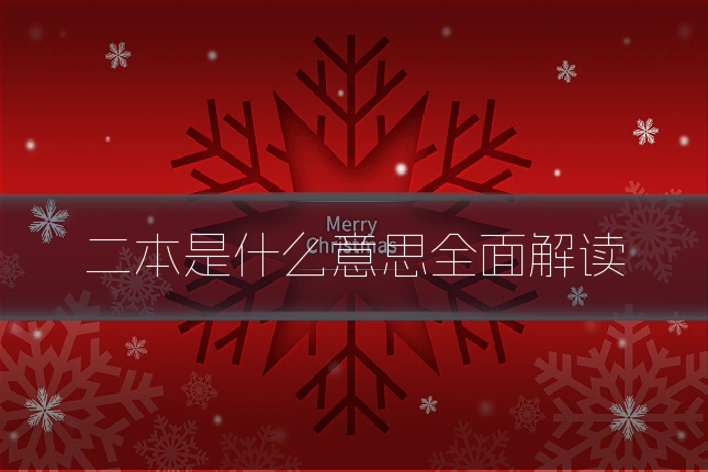 二本是什么意思全面解读