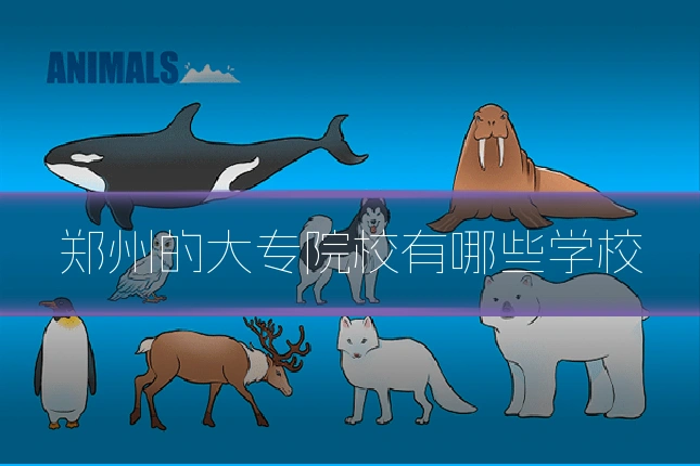 郑州的大专院校有哪些学校