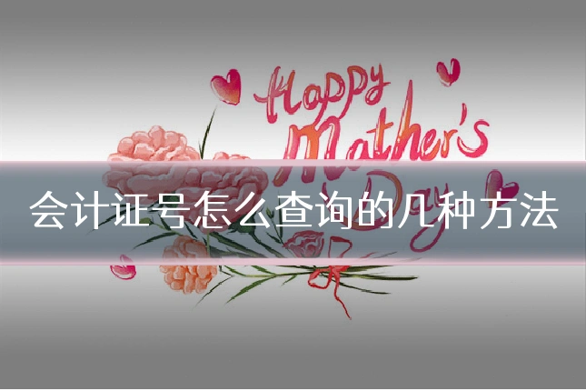会计证号怎么查询的几种方法