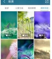 UC浏览器更换主题操作指南