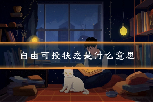 自由可投状态是什么意思