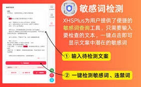 小红书合集功能排版错乱如何重置模板