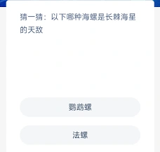 支付宝神奇海洋鹦鹉螺是海螺吗