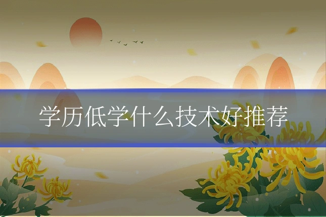 学历低学什么技术好推荐