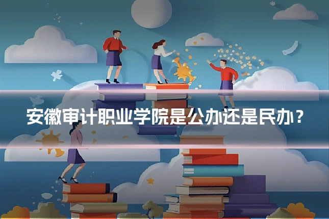 安徽审计职业学院是公办还是民办？