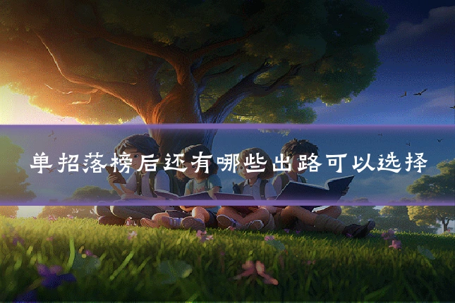 单招落榜后还有哪些出路可以选择