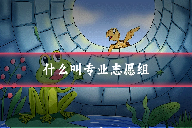 什么叫专业志愿组