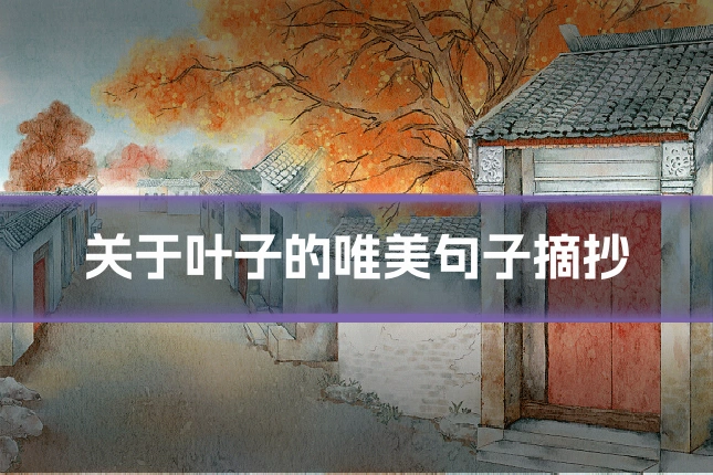 关于叶子的唯美句子摘抄