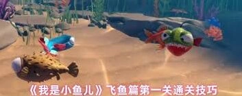 我是小鱼儿基本操作玩法指南