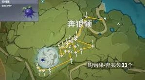 原神夏槲果位置分布图
