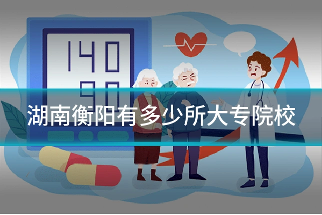 湖南衡阳有多少所大专院校