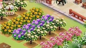 我的花园山茶花全面指南
