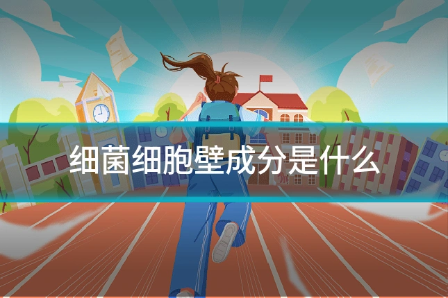 细菌细胞壁成分是什么