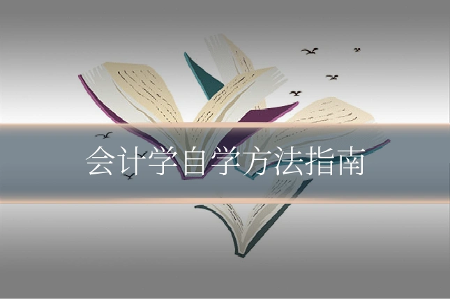 会计学自学方法指南