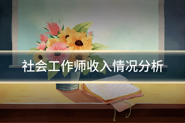 社会工作师收入情况分析