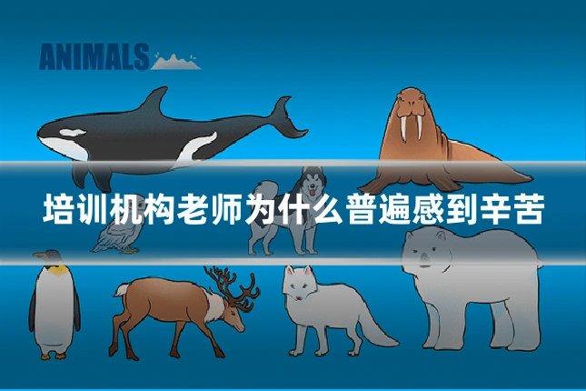 培训机构老师为什么普遍感到辛苦