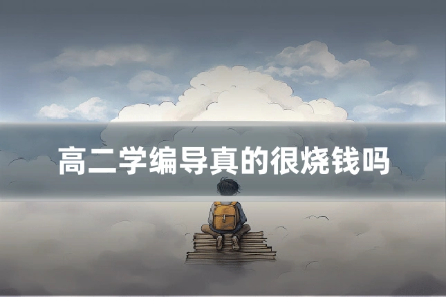 高二学编导真的很烧钱吗