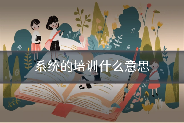 系统的培训什么意思