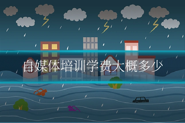 自媒体培训学费大概多少