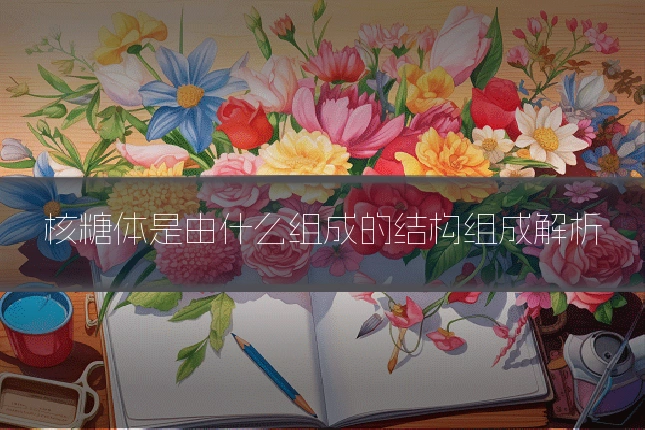 核糖体是由什么组成的结构组成解析
