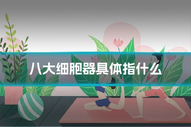 八大细胞器具体指什么