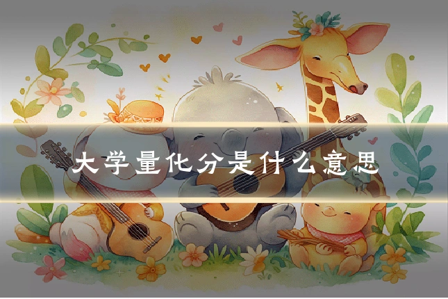 大学量化分是什么意思
