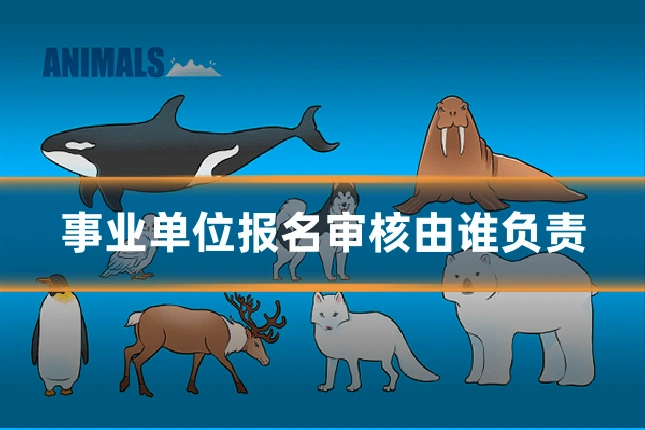 事业单位报名审核由谁负责