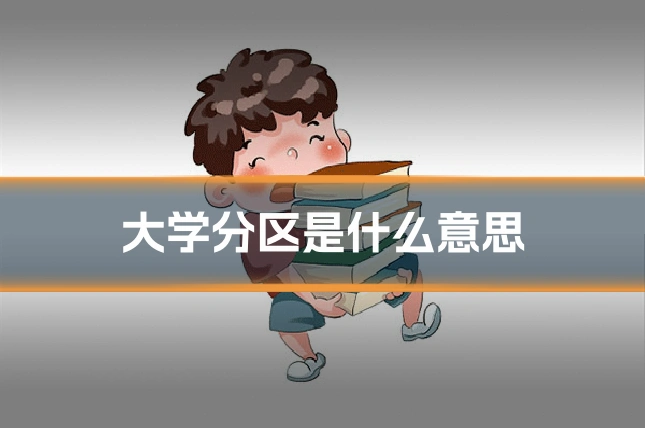 大学分区是什么意思