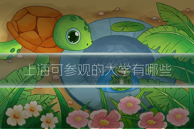 上海可参观的大学有哪些