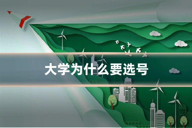 大学为什么要选号