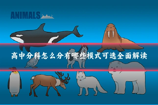 高中分科怎么分有哪些模式可选全面解读