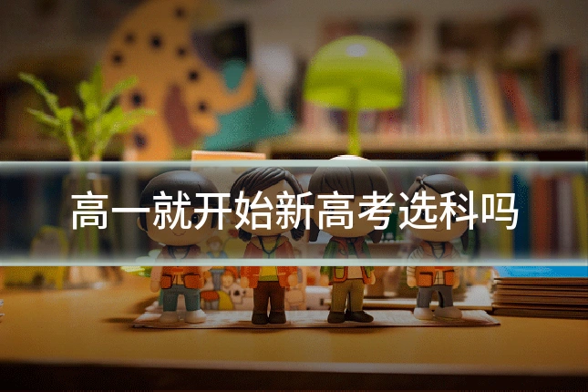 高一就开始新高考选科吗