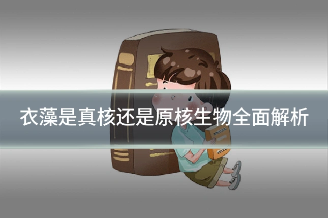 衣藻是真核还是原核生物全面解析