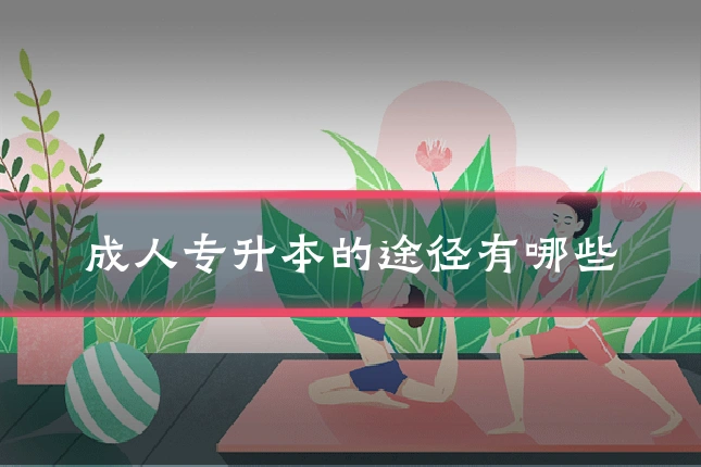 成人专升本的途径有哪些