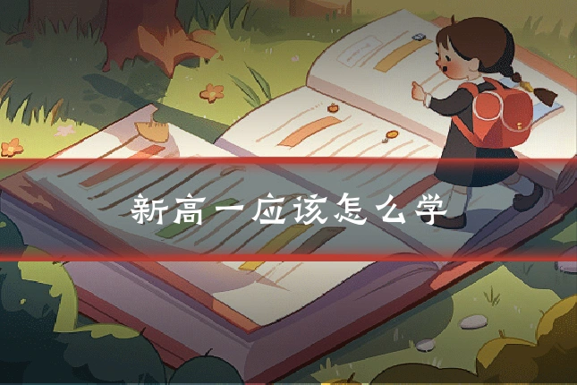 新高一应该怎么学