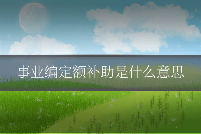 事业编定额补助是什么意思