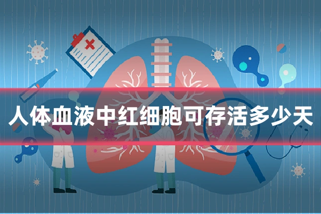 人体血液中红细胞可存活多少天