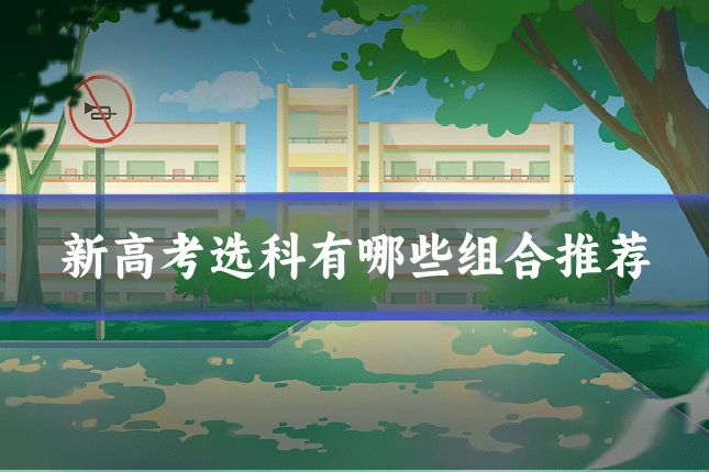 新高考选科有哪些组合推荐