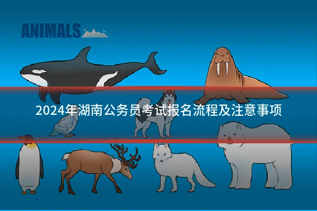 2024年湖南公务员考试报名流程及注意事项