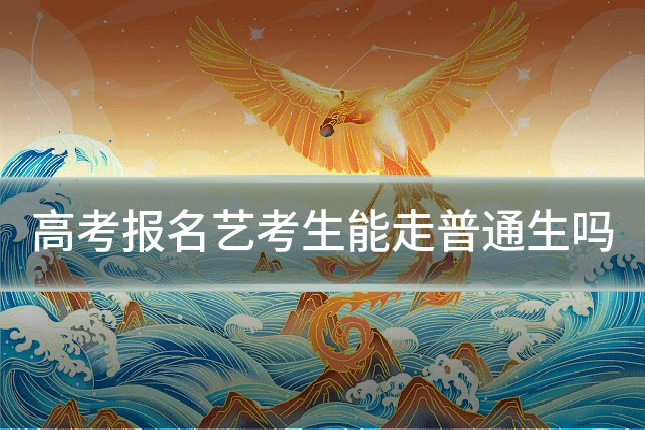 高考报名艺考生能走普通生吗