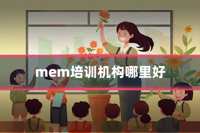 mem培训机构哪里好